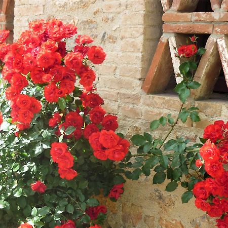 Fattoria Agriturismo Nerbona Casole dʼElsa Εξωτερικό φωτογραφία