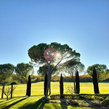 Fattoria Agriturismo Nerbona Casole dʼElsa Εξωτερικό φωτογραφία