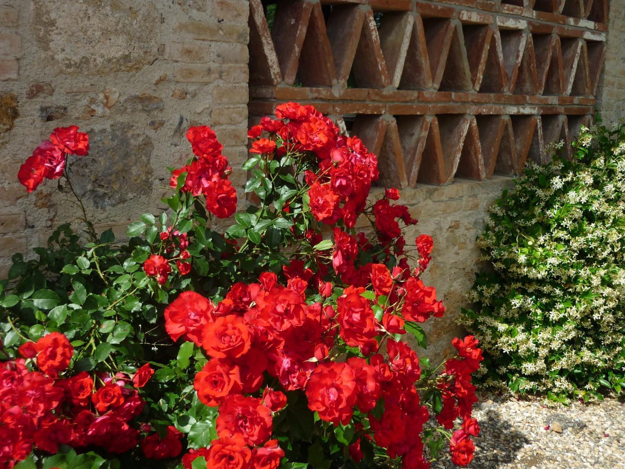 Fattoria Agriturismo Nerbona Casole dʼElsa Εξωτερικό φωτογραφία