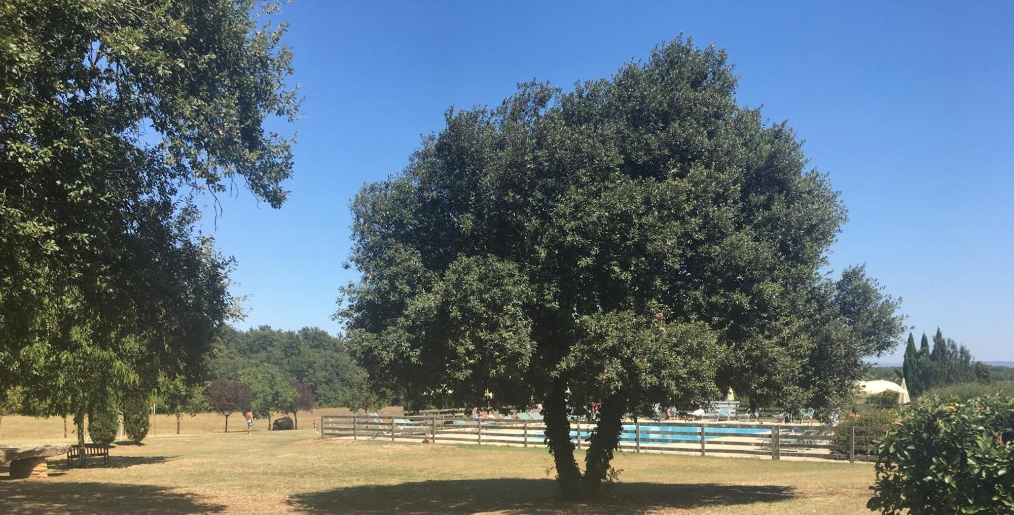 Fattoria Agriturismo Nerbona Casole dʼElsa Εξωτερικό φωτογραφία