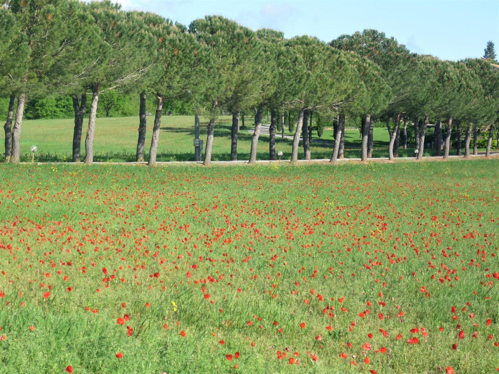 Fattoria Agriturismo Nerbona Casole dʼElsa Εξωτερικό φωτογραφία