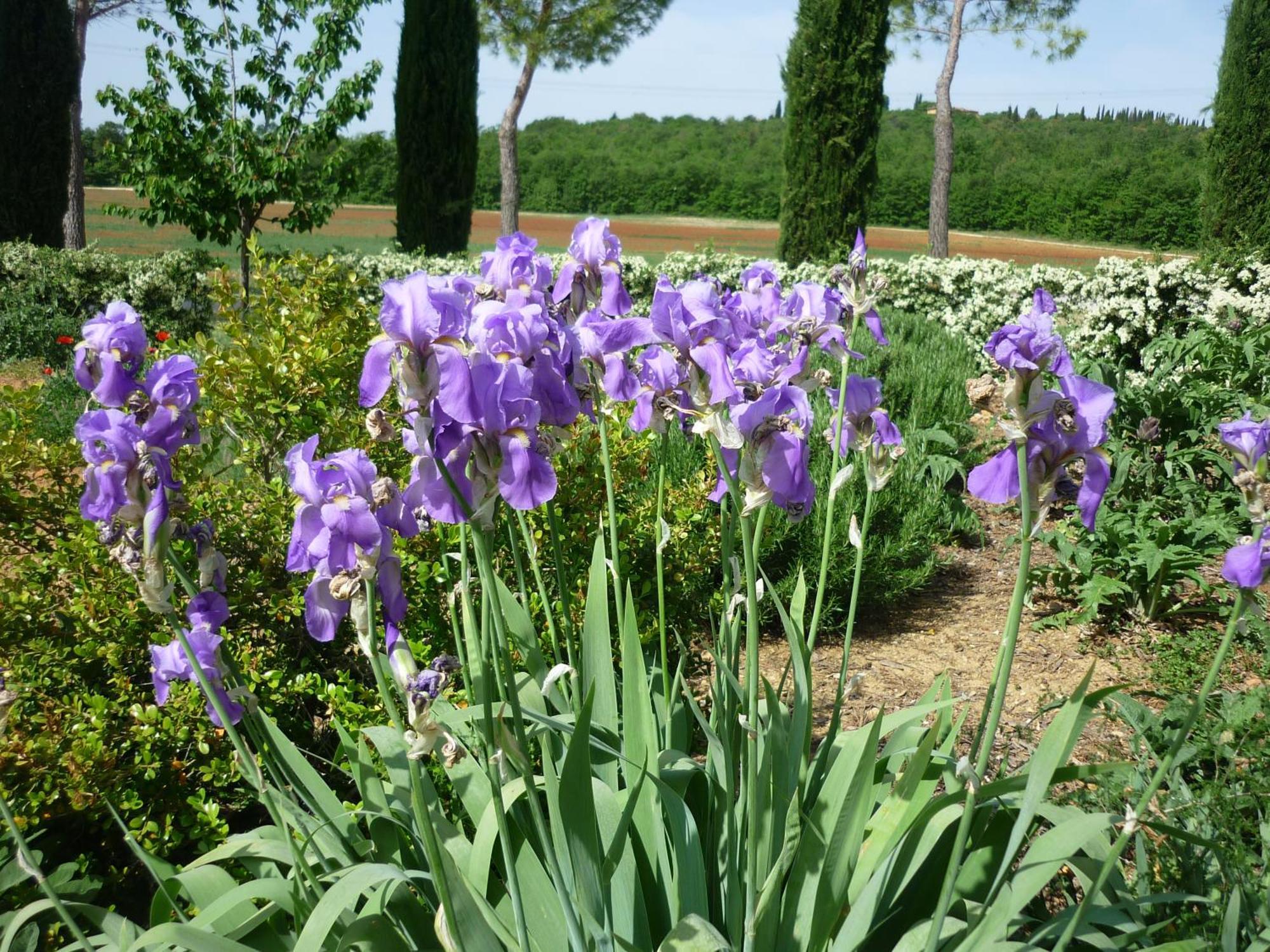 Fattoria Agriturismo Nerbona Casole dʼElsa Εξωτερικό φωτογραφία