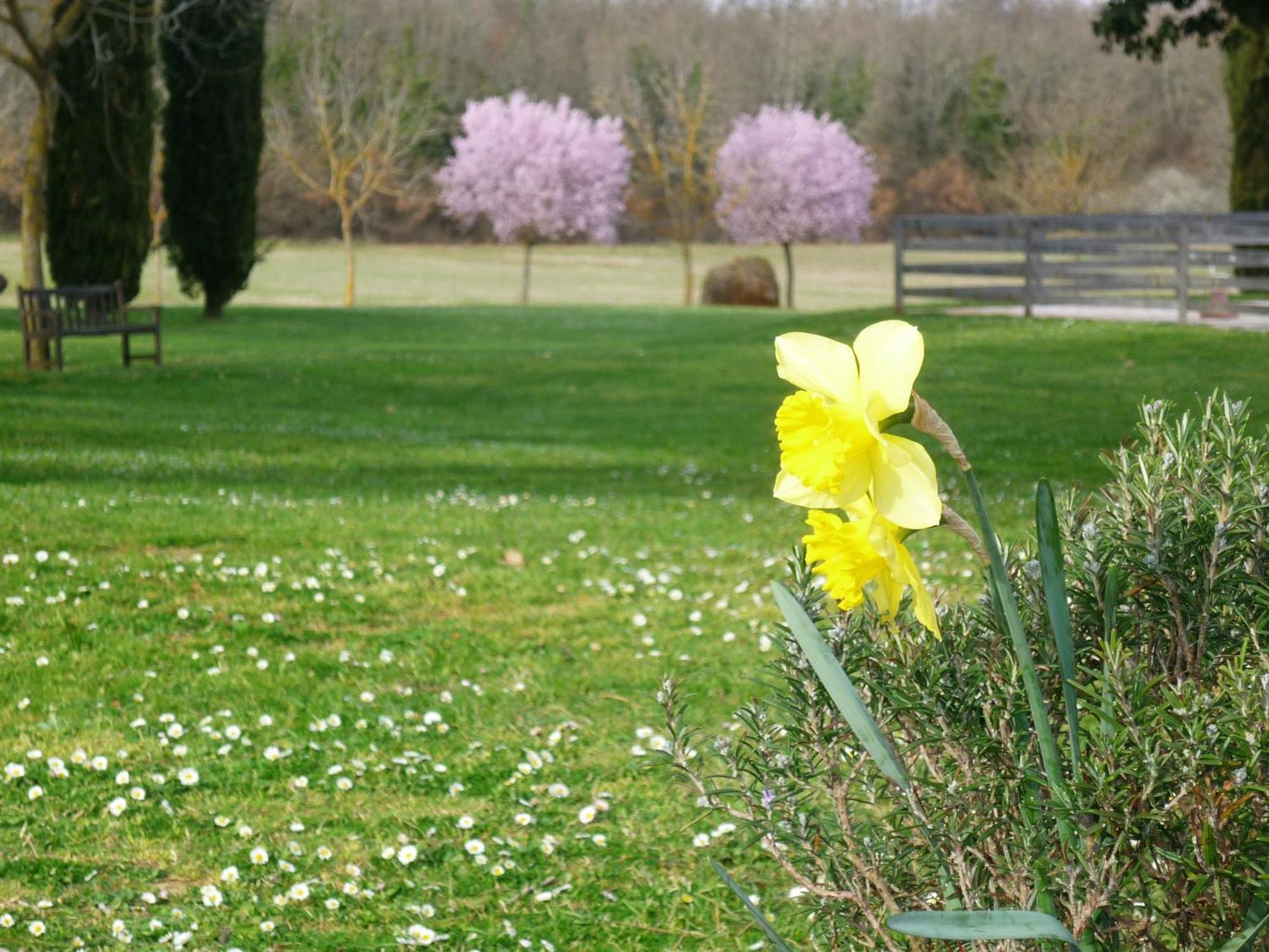 Fattoria Agriturismo Nerbona Casole dʼElsa Εξωτερικό φωτογραφία