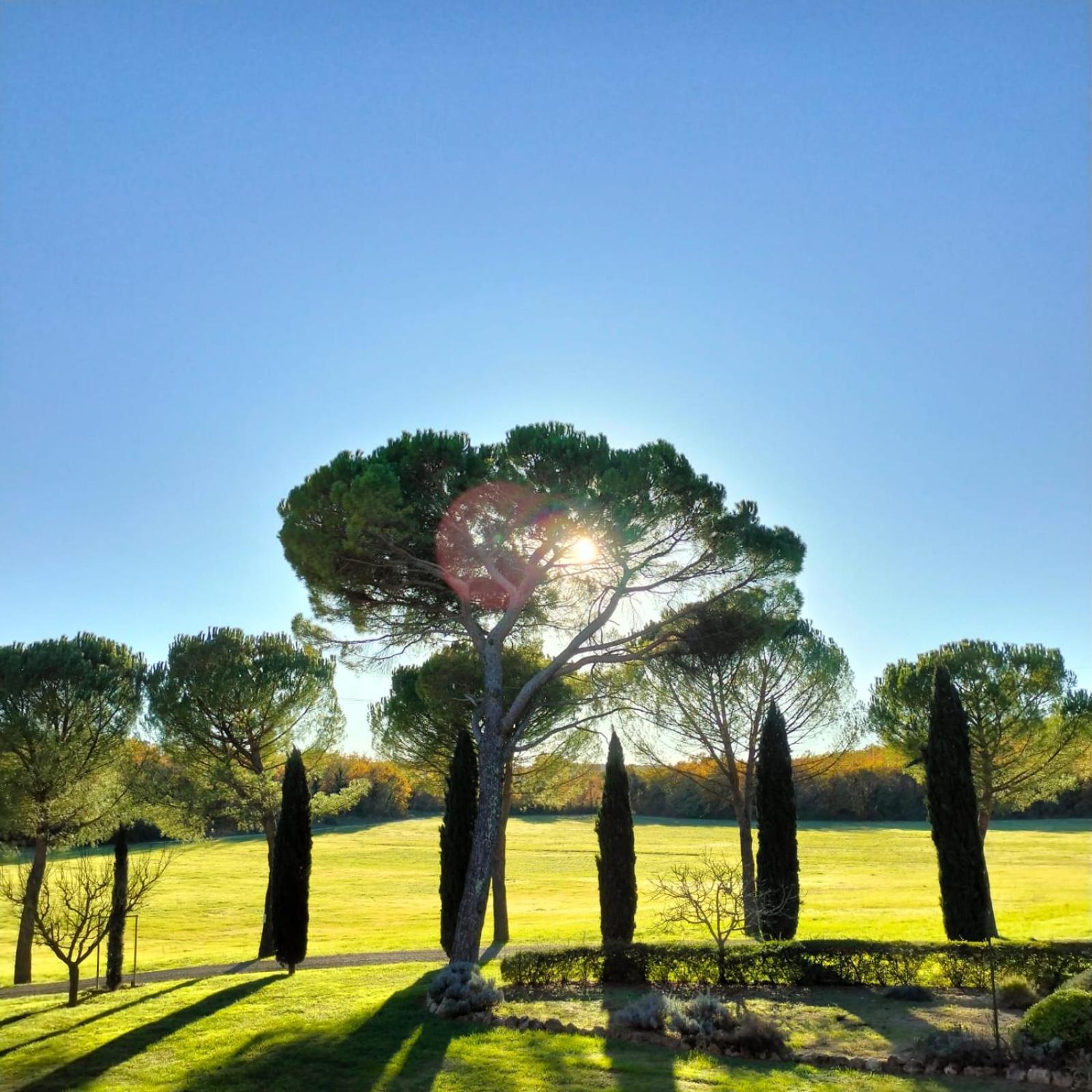Fattoria Agriturismo Nerbona Casole dʼElsa Εξωτερικό φωτογραφία